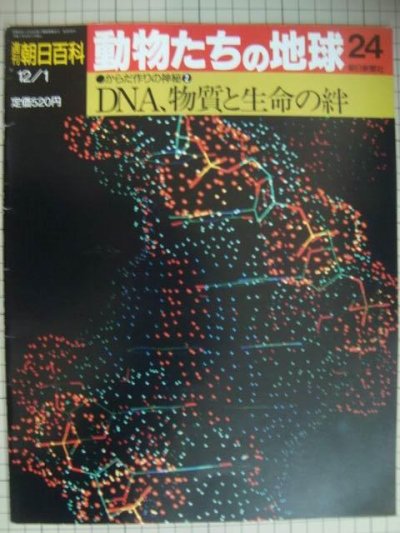 画像1: 週刊朝日百科 動物たちの地球 24 からだ作りの神秘2★DNA、物質と生命の絆