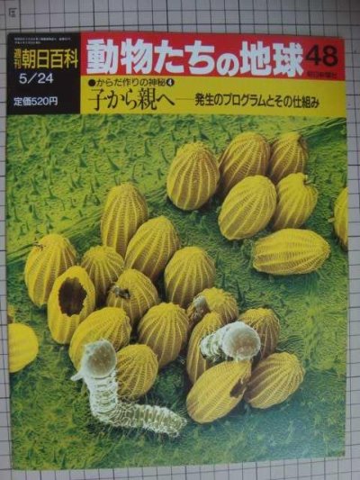 画像1: 週刊朝日百科 動物たちの地球 48 からだ作りの神秘4★子から親へ 発生のプログラムとその仕組み