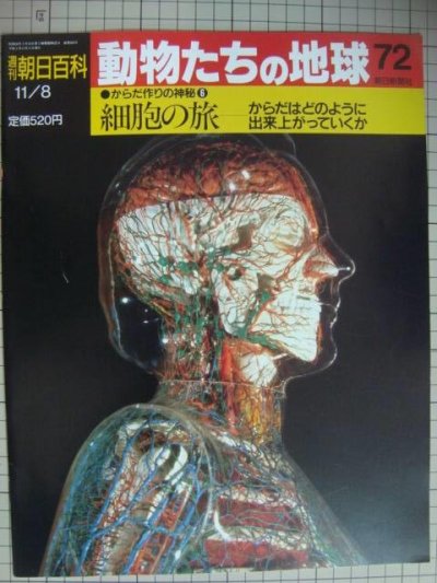 画像1: 週刊朝日百科 動物たちの地球 72 からだ作りの神秘6★細胞の旅