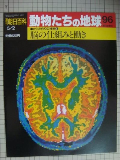 画像1: 週刊朝日百科 動物たちの地球 96 からだ作りの神秘8★脳の仕組みと働き