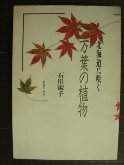 画像1: 北海道に咲く万葉の植物★石川淑子