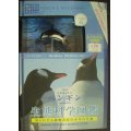 生態科学図鑑 Vol.2 ペンギン ★ケープペンギンフィギュア