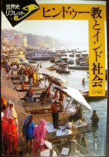 ヒンドゥー教とインド社会★山下博司★世界史リブレット5