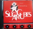 画像1: CD★スティック・アラウンド・フォー・ジョイ Stick Around For Joy★シュガー・キューブス The Sugar Cubes (1)