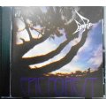 CD輸入盤★Epic Forest★Rare Bird レア・バード