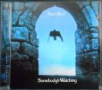 画像1: CD輸入盤★Somebody's Watching★Rare Bird レア・バード (1)