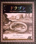 ドラゴン 神話の森の小さな歴史の物語★ジョイス・ハーグリーヴス★アルケミスト双書