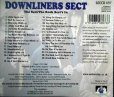 画像2: CD輸入盤2in1★The Sect / The Rock Sect's in★Downliners Sect ダウンライナーズ・セクト (2)