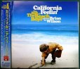 画像1: CD★カリフォルニア・フィーリン ベスト・オブ・ビーチ・ボーイズ★ビーチ・ボーイズ The Beach Boys (1)