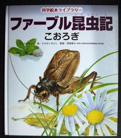 画像1: ファーブル昆虫記 こおろぎ 科学絵本ライブラリー★小林清之介 たかはしきよし