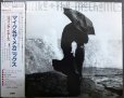 画像1: CD★リヴィング・イヤーズ★マイク&ザ・メカニックス　Mike + The Mechanics (1)