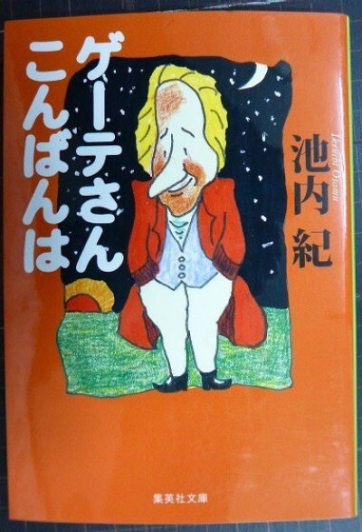 画像1: ゲーテさんこんばんは★池内紀★集英社文庫