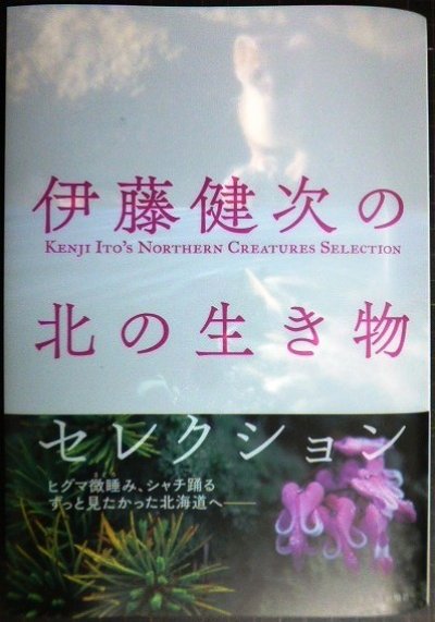 画像1: 伊藤健次の北の生き物セレクション★伊藤健次