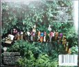 画像2: CD輸入盤★Rhythm of the Saints★Paul Simon ポール・サイモン (2)