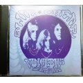 CD輸入盤★Vincebus Eruptum★Blue Cheer　ブルー・チアー