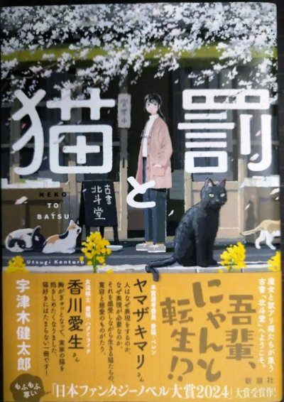 画像1: 猫と罰★宇津木健太郎