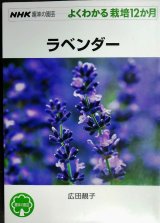 NHK趣味の園芸 よくわかる栽培12か月 ラベンダー★広田せい子