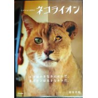 ネコライオン★岩合光昭★写真文庫