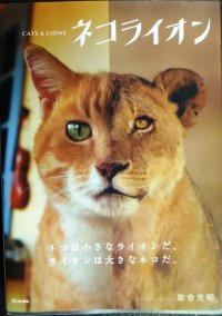 ネコライオン★岩合光昭★写真文庫