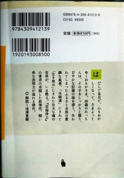 画像2: 椿の海の記★石牟礼道子★河出文庫