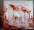 画像1: CD輸入盤★Strangers★Blackfoot Sue ブラックフット・スー (1)