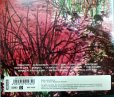 画像2: CD輸入盤★Zior★ザイオール (2)