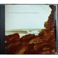 CD輸入盤★Surfing on Sine Waves★Polygon Window ポリゴン・ウィンドウ