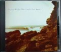 CD輸入盤★Surfing on Sine Waves★Polygon Window ポリゴン・ウィンドウ