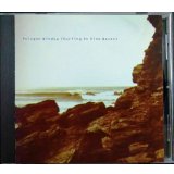 CD輸入盤★Surfing on Sine Waves★Polygon Window ポリゴン・ウィンドウ