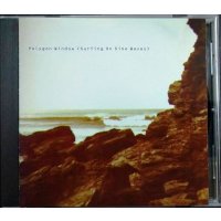 CD輸入盤★Surfing on Sine Waves★Polygon Window ポリゴン・ウィンドウ
