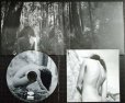 画像3: CD輸入盤★Blood★Rhye ライ★紙ジャケット仕様 (3)