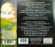 画像2: CD輸入盤2in1★Atlanta Rhythm Section / Back Up Against The Wall★アトランタ・リズム・セクション (2)