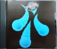 画像1: CD輸入盤★Nightingales and Bombers★Manfred Mann's Earth Band マンフレッド・マンズ・アース・バンド★西独盤 (1)