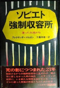 ソビエト強制収容所 凍った大地から★アレクサンダー・ドルガン 工藤幸雄訳