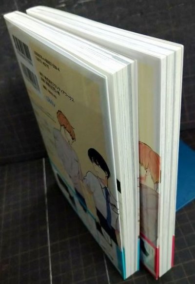 画像3: 蠍と乙女 全2巻★澄谷ゼニコ★リラクトコミックス Hugピクシブシリーズ
