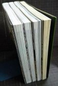 画像3: 最遊記外伝 1-4巻★峰倉かずや (3)
