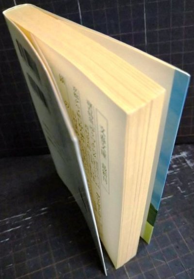 画像2: シューレス・ジョー★W.P.キンセラ 永井淳訳★文春文庫