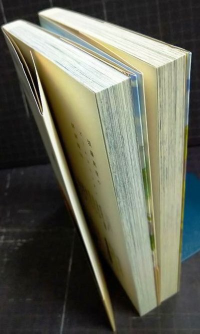 画像3: どこか遠くの話をしよう 上下巻★須藤真澄★ビームコミックス