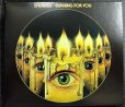 画像1: CD輸入盤★Burning For You★Strawbs ストローブス★デジパック仕様 (1)