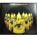 CD輸入盤★Burning For You★Strawbs ストローブス★デジパック仕様