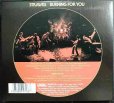 画像2: CD輸入盤★Burning For You★Strawbs ストローブス★デジパック仕様 (2)