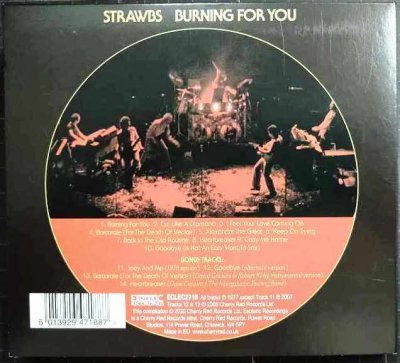 画像2: CD輸入盤★Burning For You★Strawbs ストローブス★デジパック仕様