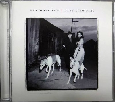 画像1: CD輸入盤★Days Like This★Van Morrison ヴァン・モリソン