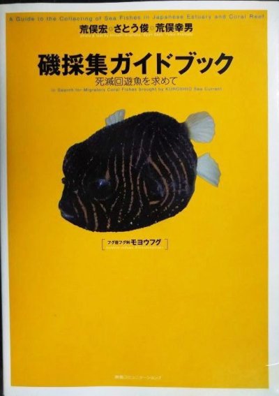画像1: 磯採集ガイドブック 死滅回遊魚を求めて★荒俣宏 さとう俊 荒俣幸男