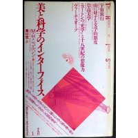 美と科学のインターフェイス★M.H.ニコルソン 高山宏訳★叢書ヒストリー・オヴ・アイディアズ