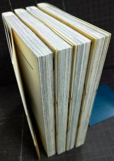 画像3: ソアラと魔物の家 1-4巻★山地ひでのり★サンデーうぇぶり
