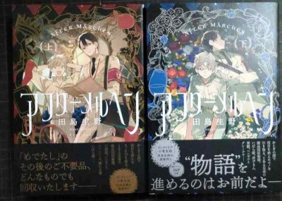 画像1: アフターメルヘン 上下巻★田島生野