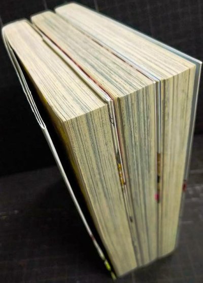 画像3: エニデヴィ 全3巻★白浜鴎★ビームコミックス