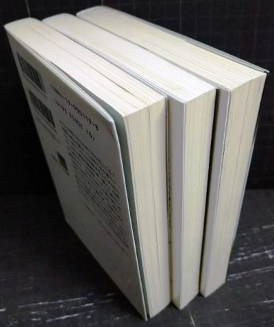 画像3: ナイトウォッチ・シリーズ全3冊 ぼくらは虚空に夜を視る/私は虚無を月に聴く/あなたは虚人と星に舞う★上遠野浩平★徳間デュアル文庫