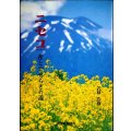 ニセコ 花とせせらぎの道★若林浩樹